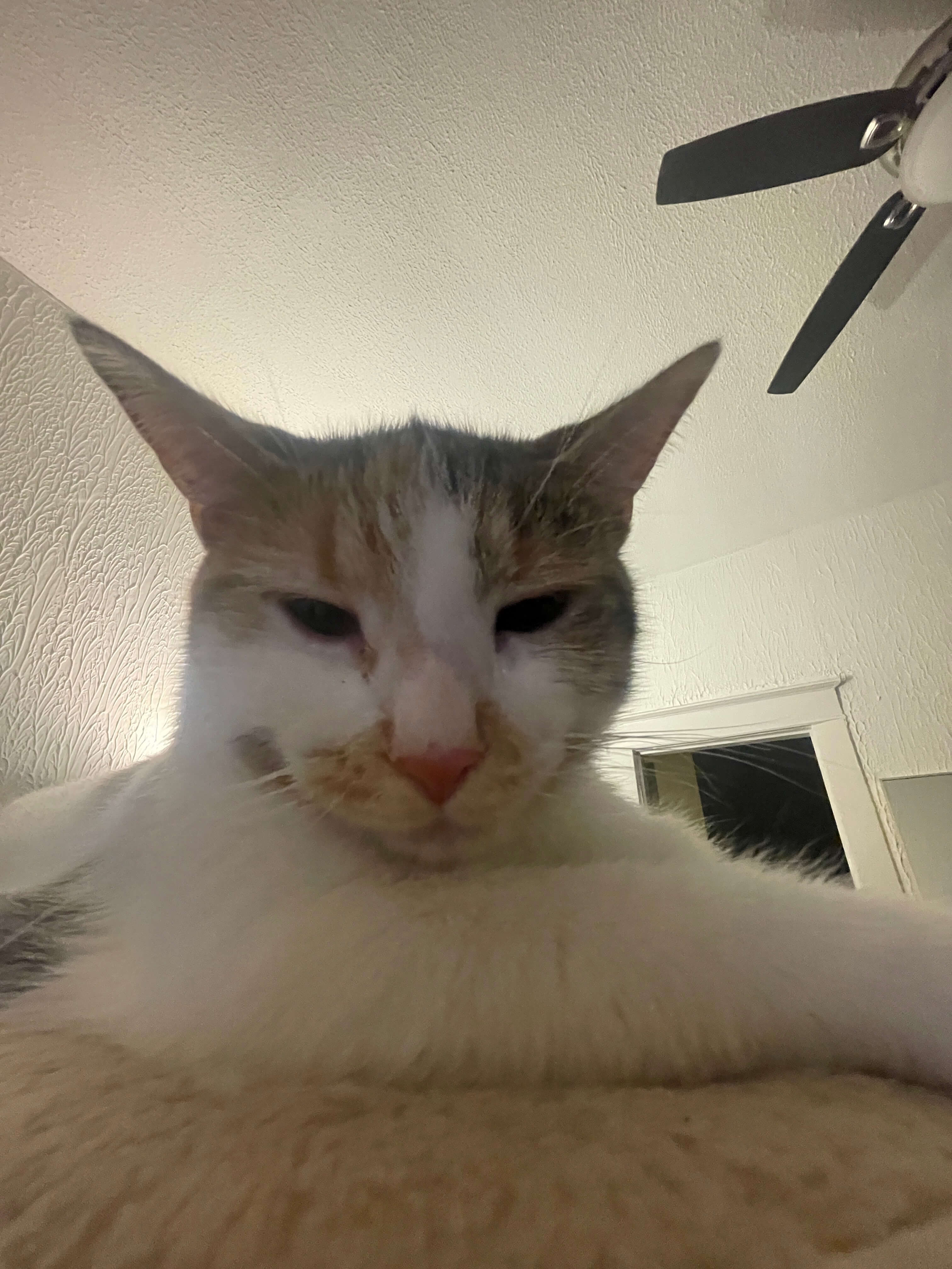 IMG_0356.jpeg
