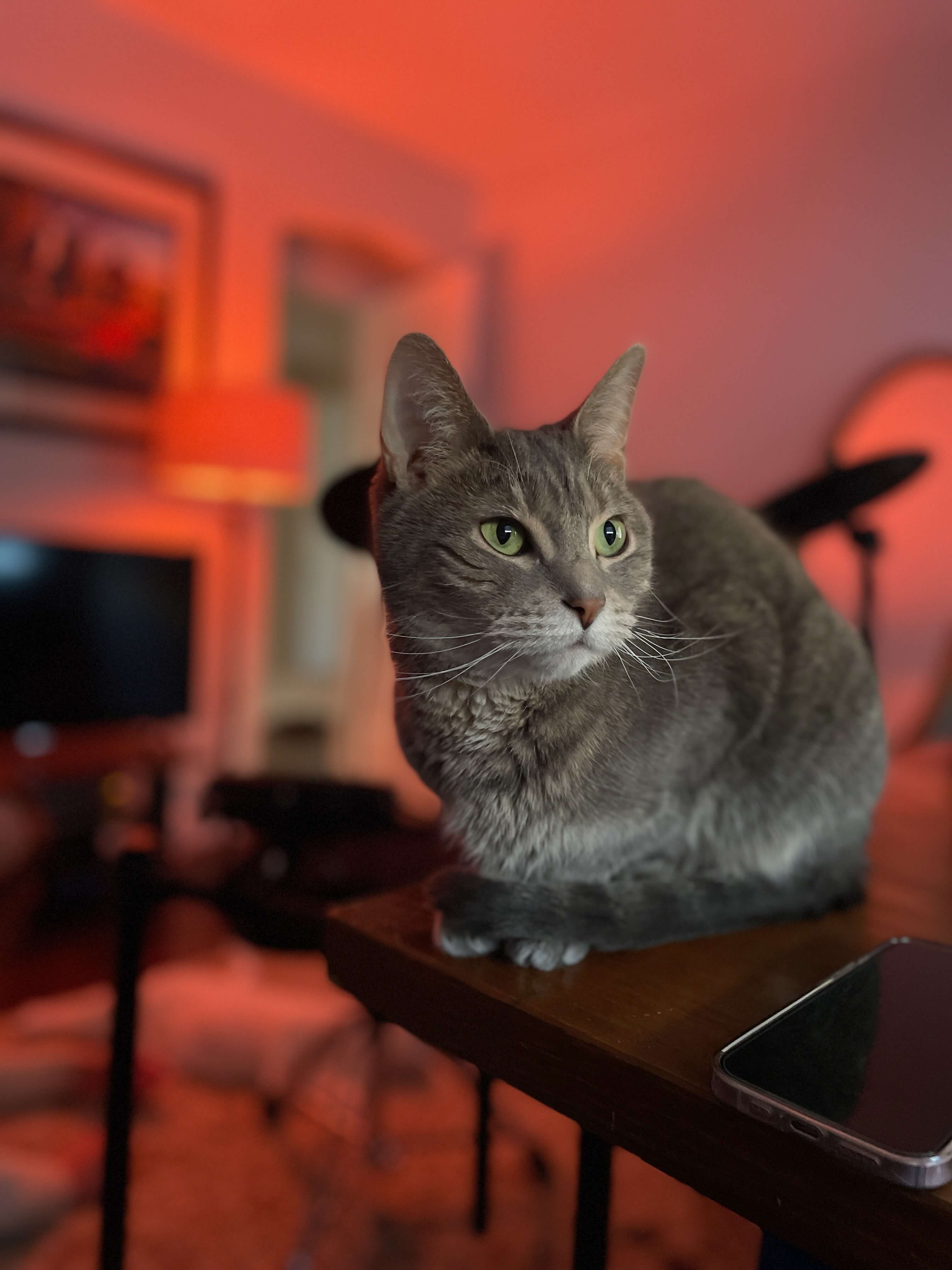 IMG_1860.jpeg